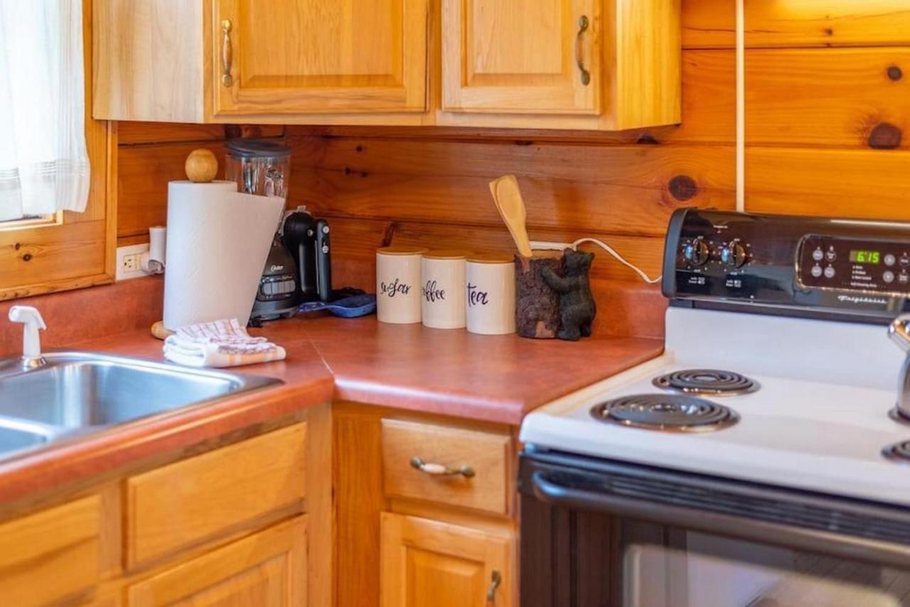 Log Cabin Stunning Mountain Views On 12 Acres Candler Zewnętrze zdjęcie