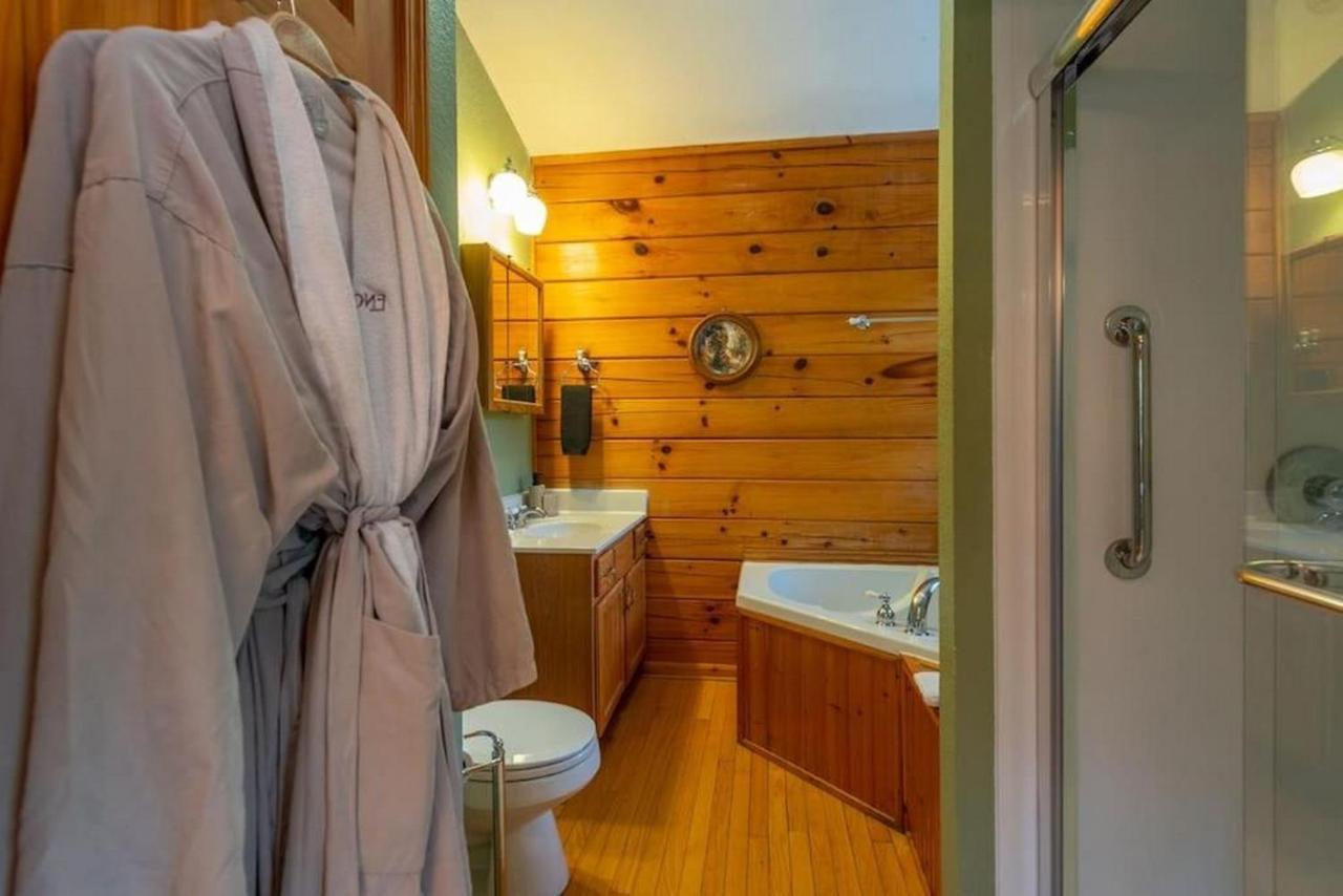 Log Cabin Stunning Mountain Views On 12 Acres Candler Zewnętrze zdjęcie